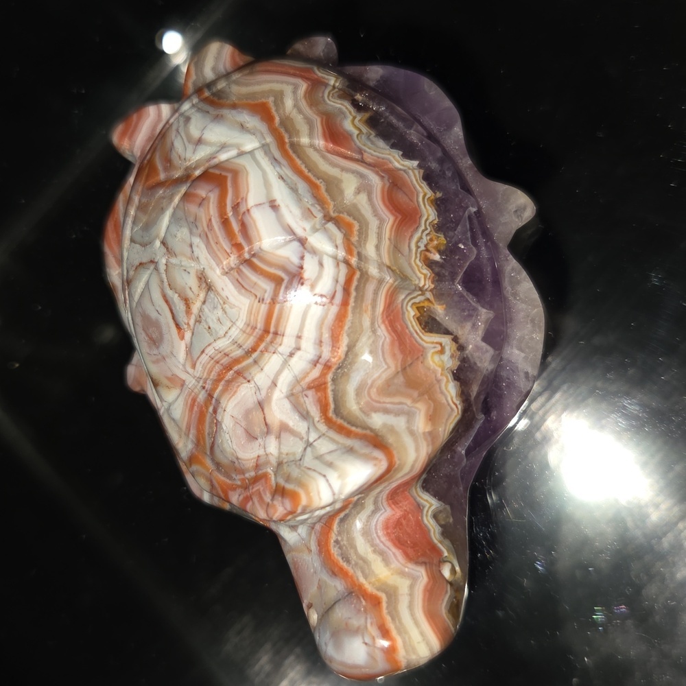 Amethyst Crazy Lace Agate Turtle Crystal Carving New Gift